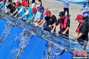 天天吉时2025年全国水生生物同步增殖放流活动在福建举行