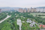 天天吉时西宁市举办六五环境日主题宣传活动