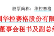 天天吉时华控赛格董事长、董秘、副总经理三高管同日辞职